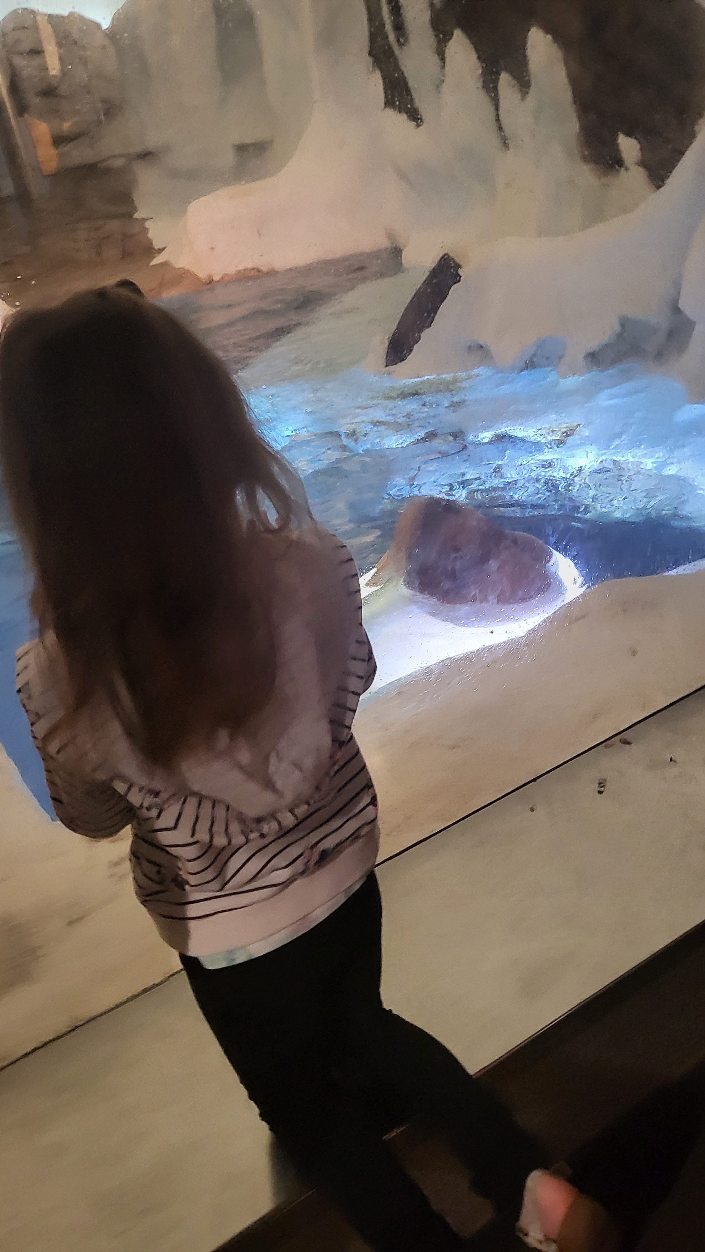 Day 5: Sea World