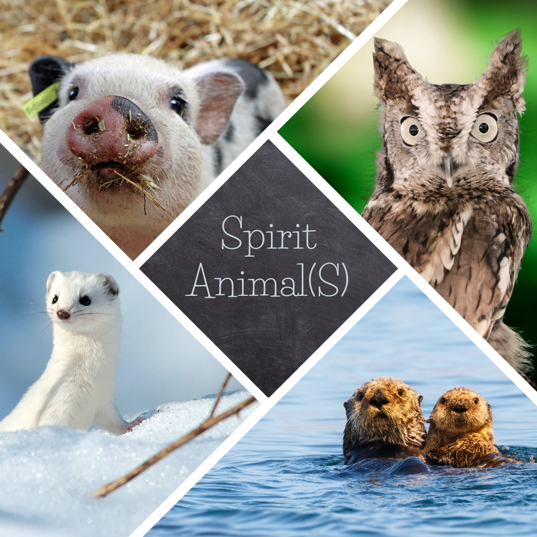 Spirit Animal(S)